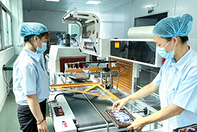 Plastic-sealed packaging